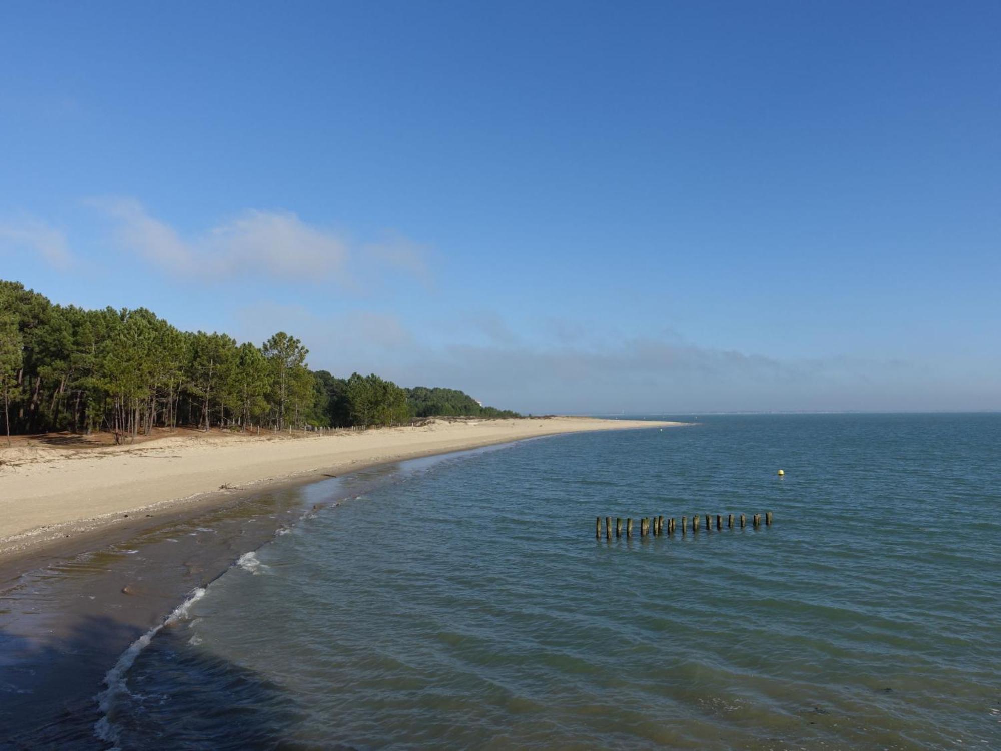 Holiday Home Domino By Interhome Saint-Georges-d'Oleron Exterior photo